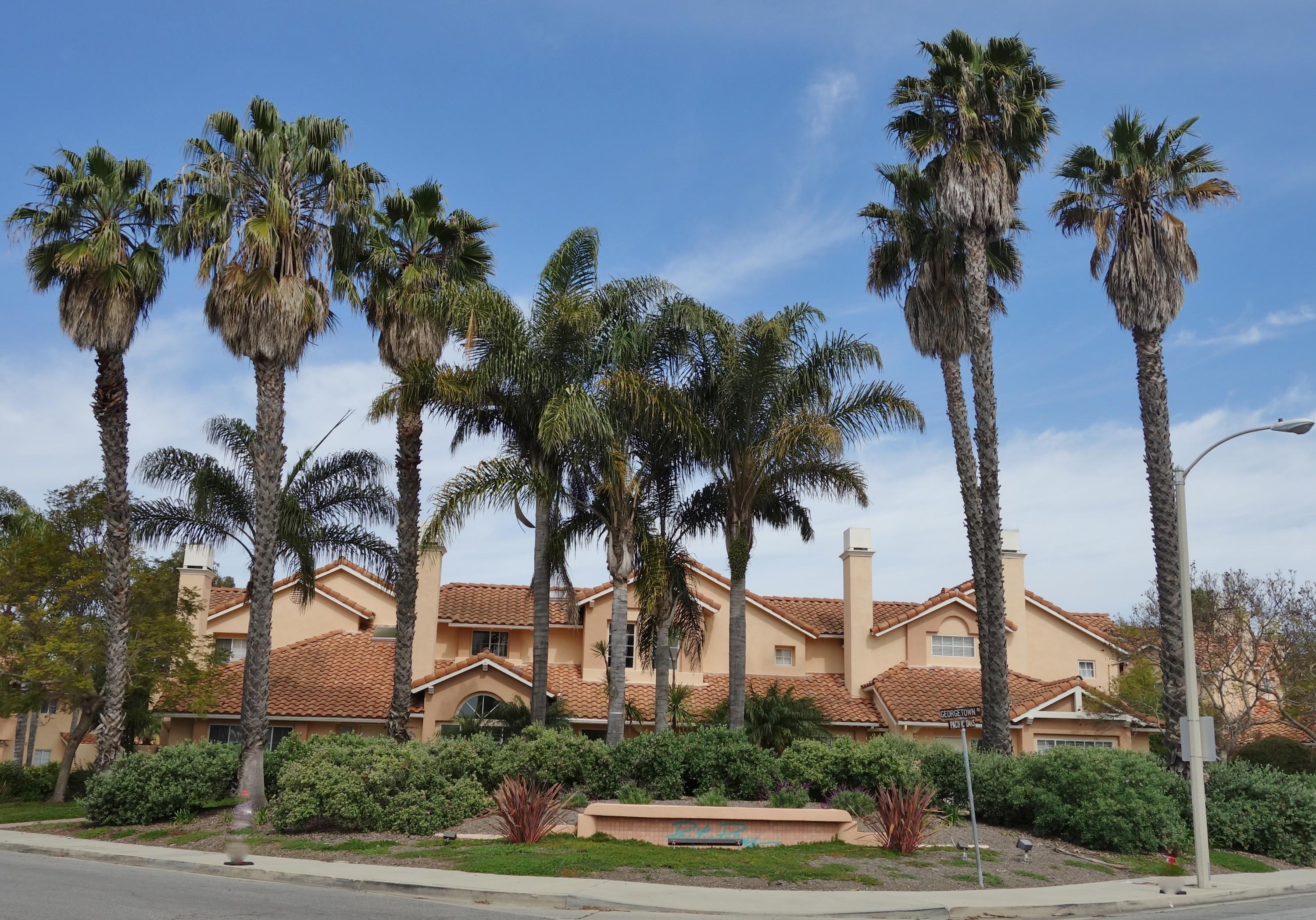 7120 Phelps Road Goleta, CA 93117 - Photo 25 of 29 Pacific Palms