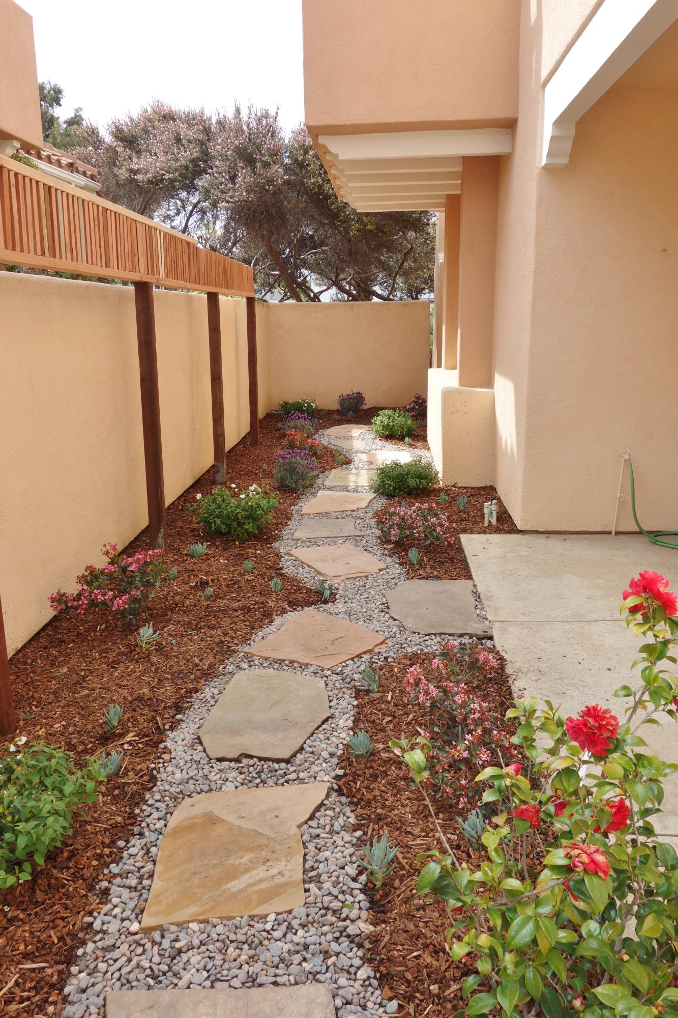 7120 Phelps Road Goleta, CA 93117 - Photo 3 of 29 Newly Landscaped walk way