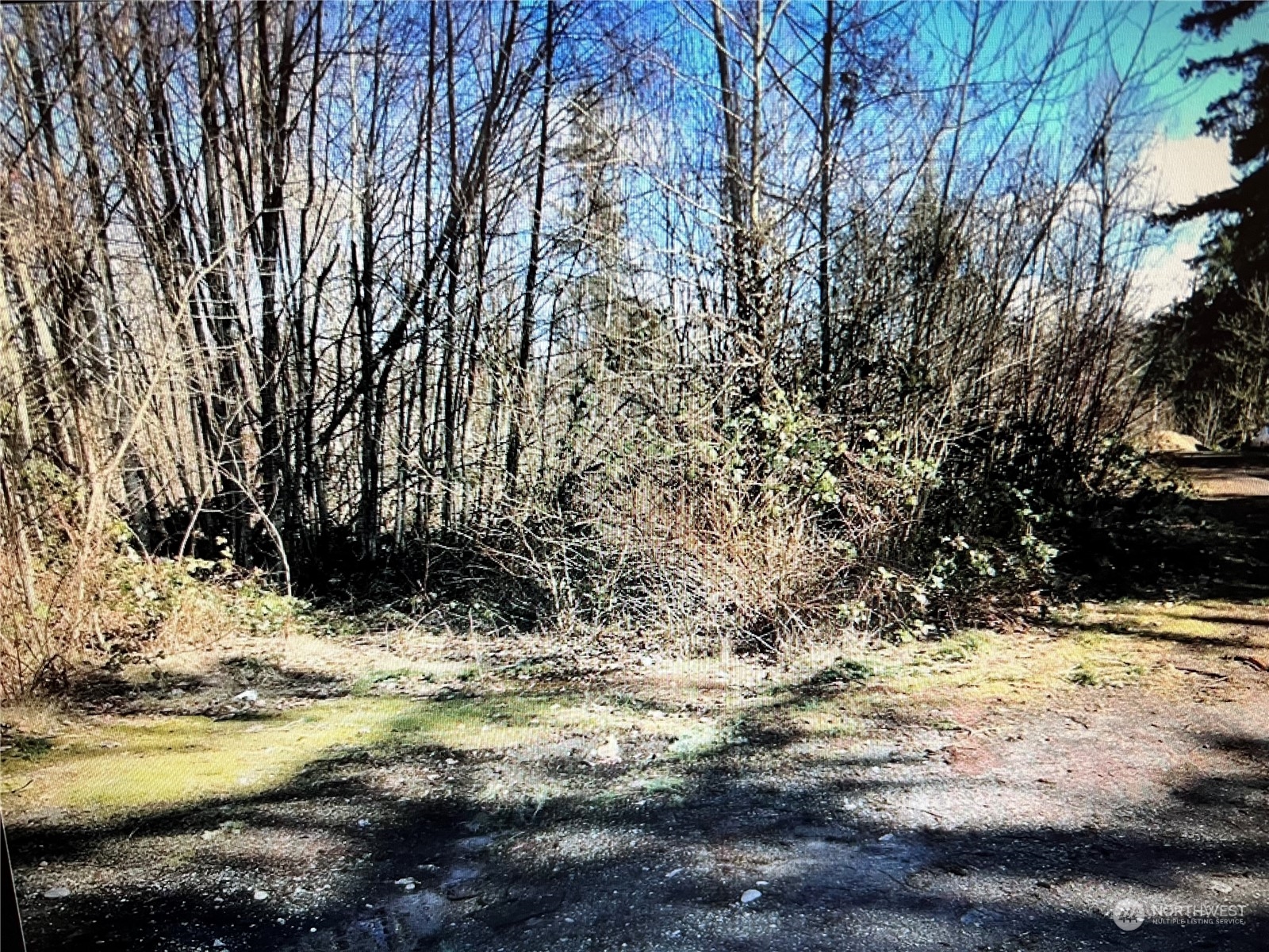 18450 140th Avenue Southeast Renton, WA 98058 - Photo 1 of 6 a view of snow on the side of a road