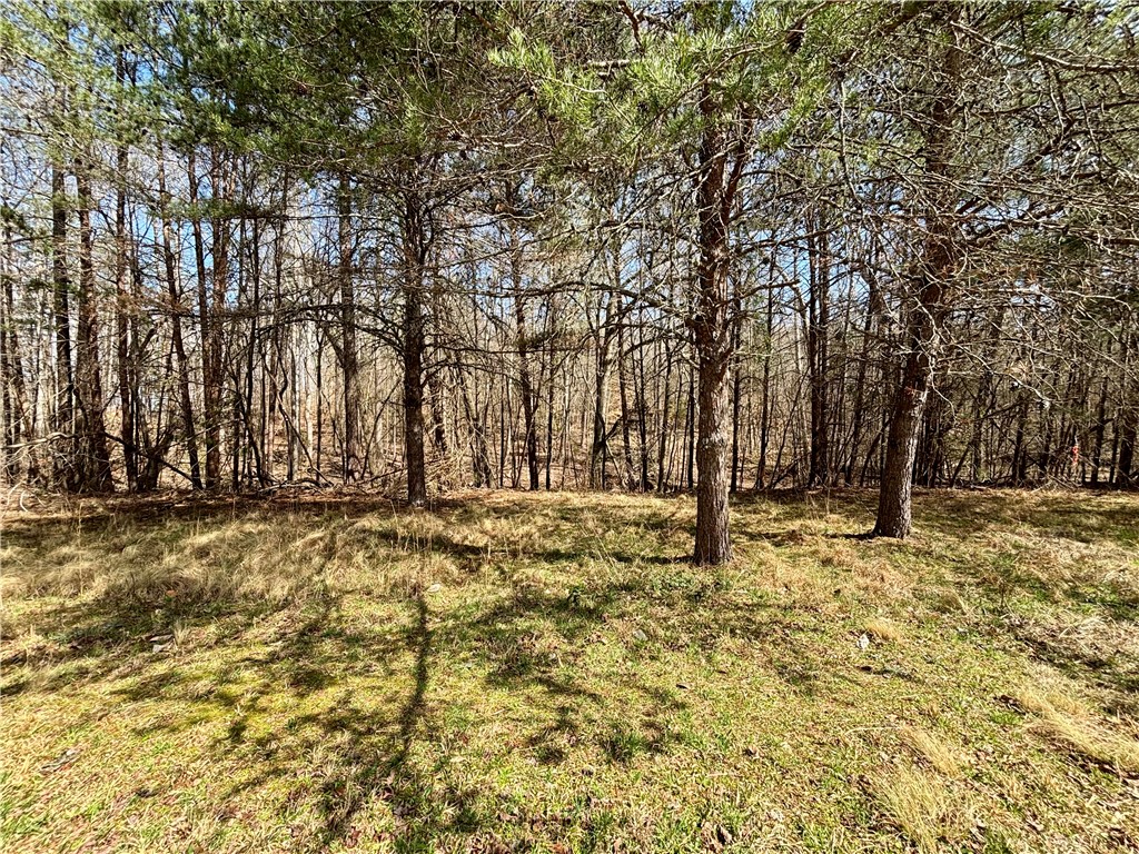 3.271 Coneross Point Drive Seneca, SC 29678 - Photo 9 of 9 This verdant expanse offers a serene, wooded backdrop, perfect for creating a private retreat.
