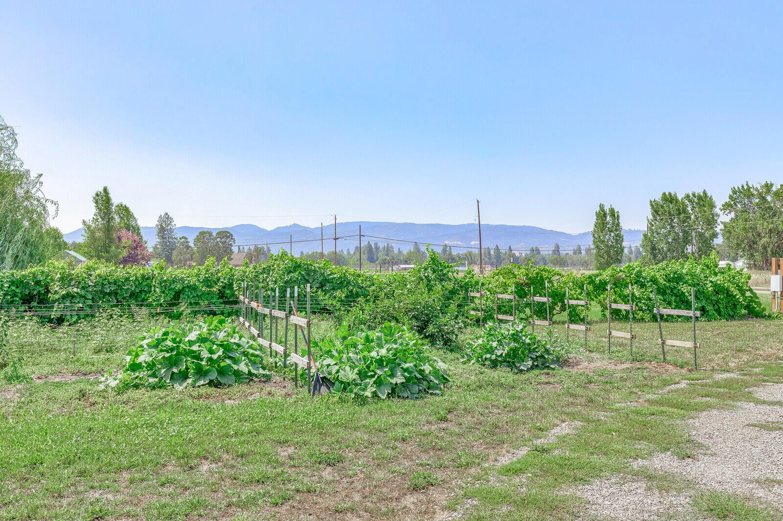 727 Oak Grove Road Medford, OR 97501 - Photo 38 of 43 38-Garden Area