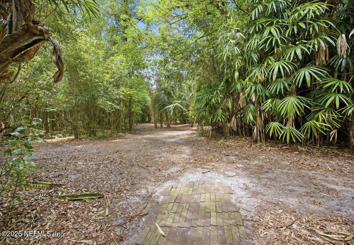 508 Georgetown Shortcut Road Georgetown, FL 32139 - Photo 20 of 32 20-Path from Guest House to Main Home