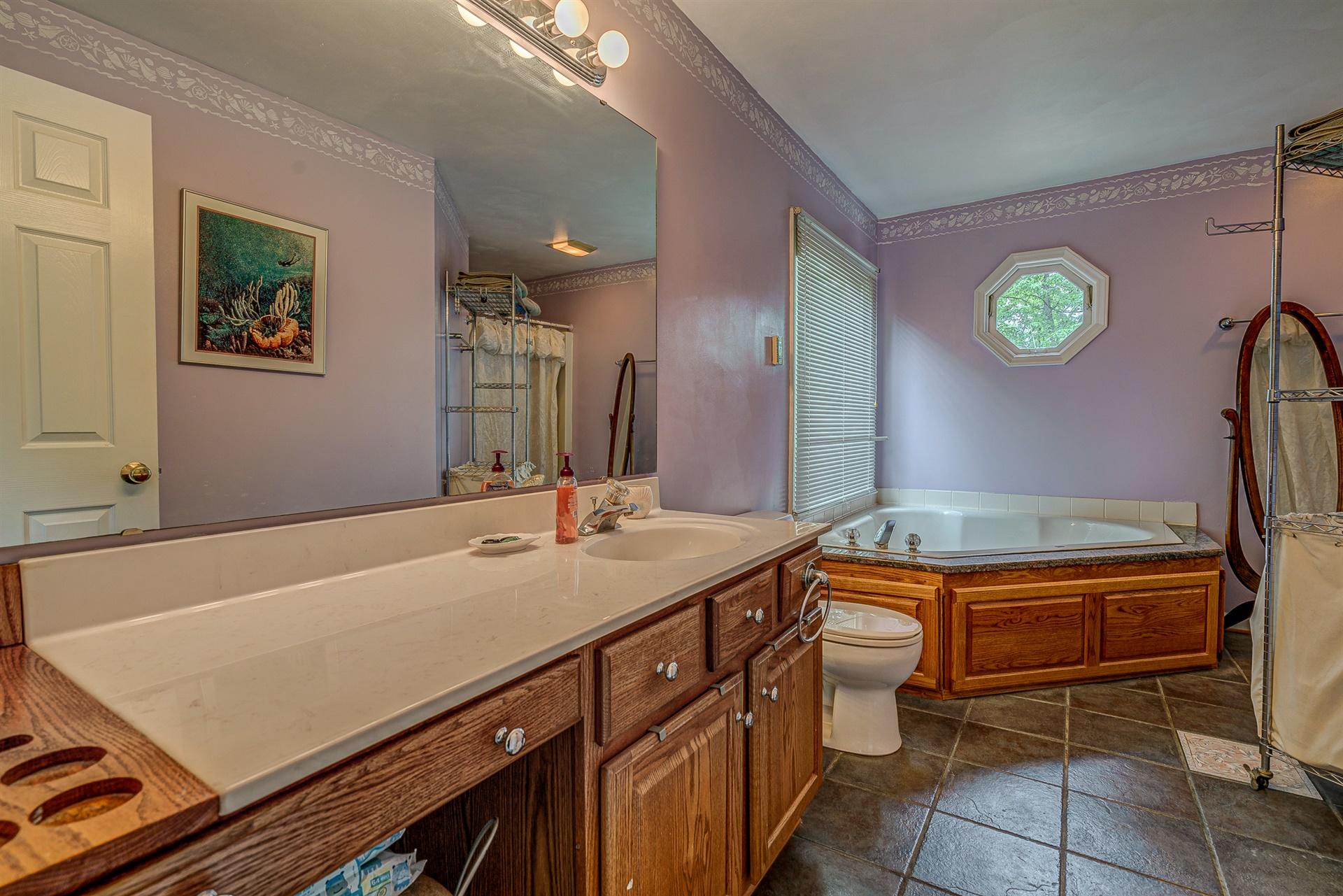684 Northridge Road Hardy, VA 24101 - Photo 23 of 75 a bathroom with a sink a vanity and a bathtub