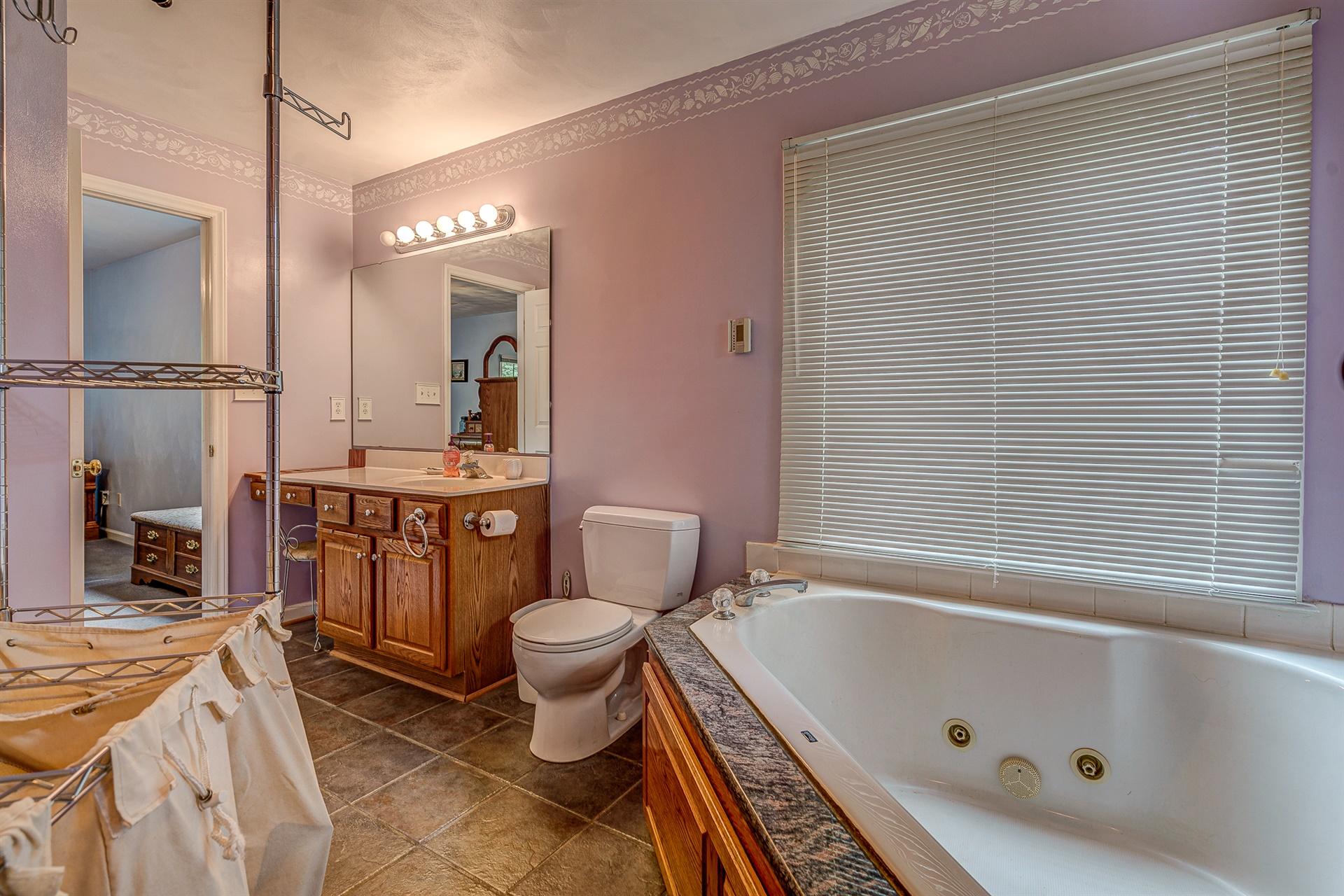 684 Northridge Road Hardy, VA 24101 - Photo 25 of 75 a bathroom with a sink a toilet a mirror and bathtub