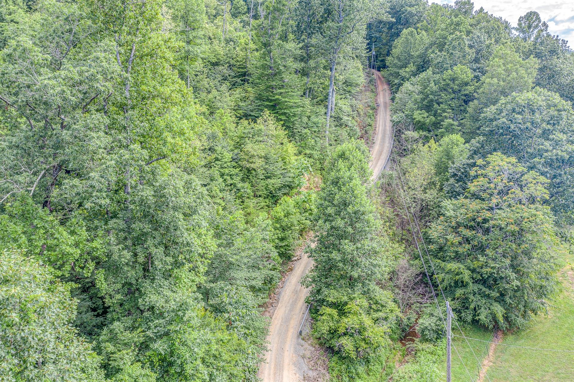 684 Northridge Road Hardy, VA 24101 - Photo 43 of 75 a view of a forest with a tree