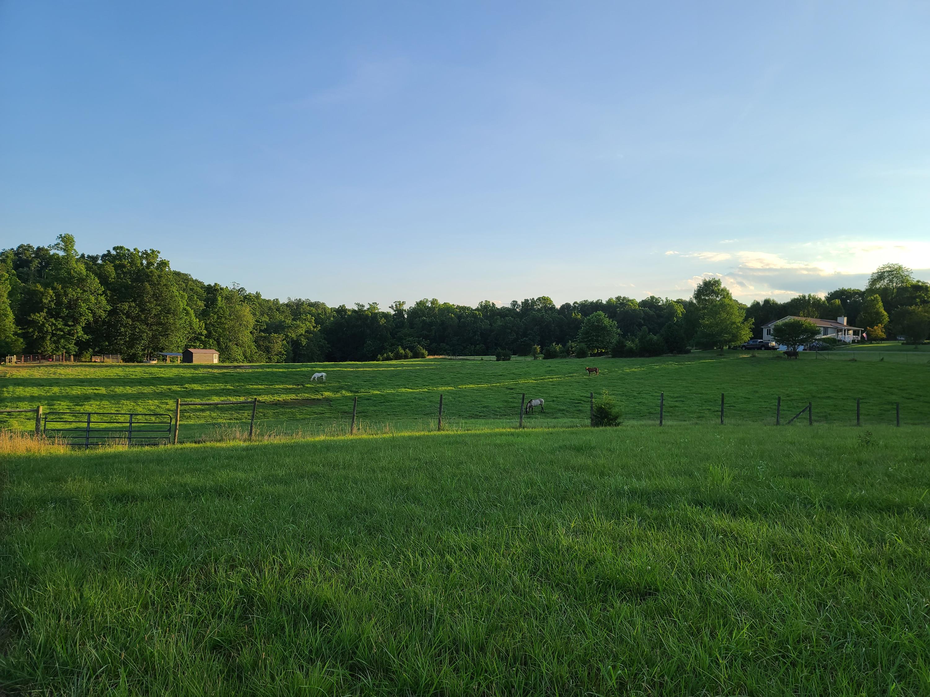 684 Northridge Road Hardy, VA 24101 - Photo 58 of 75 a view of a golf course with a park