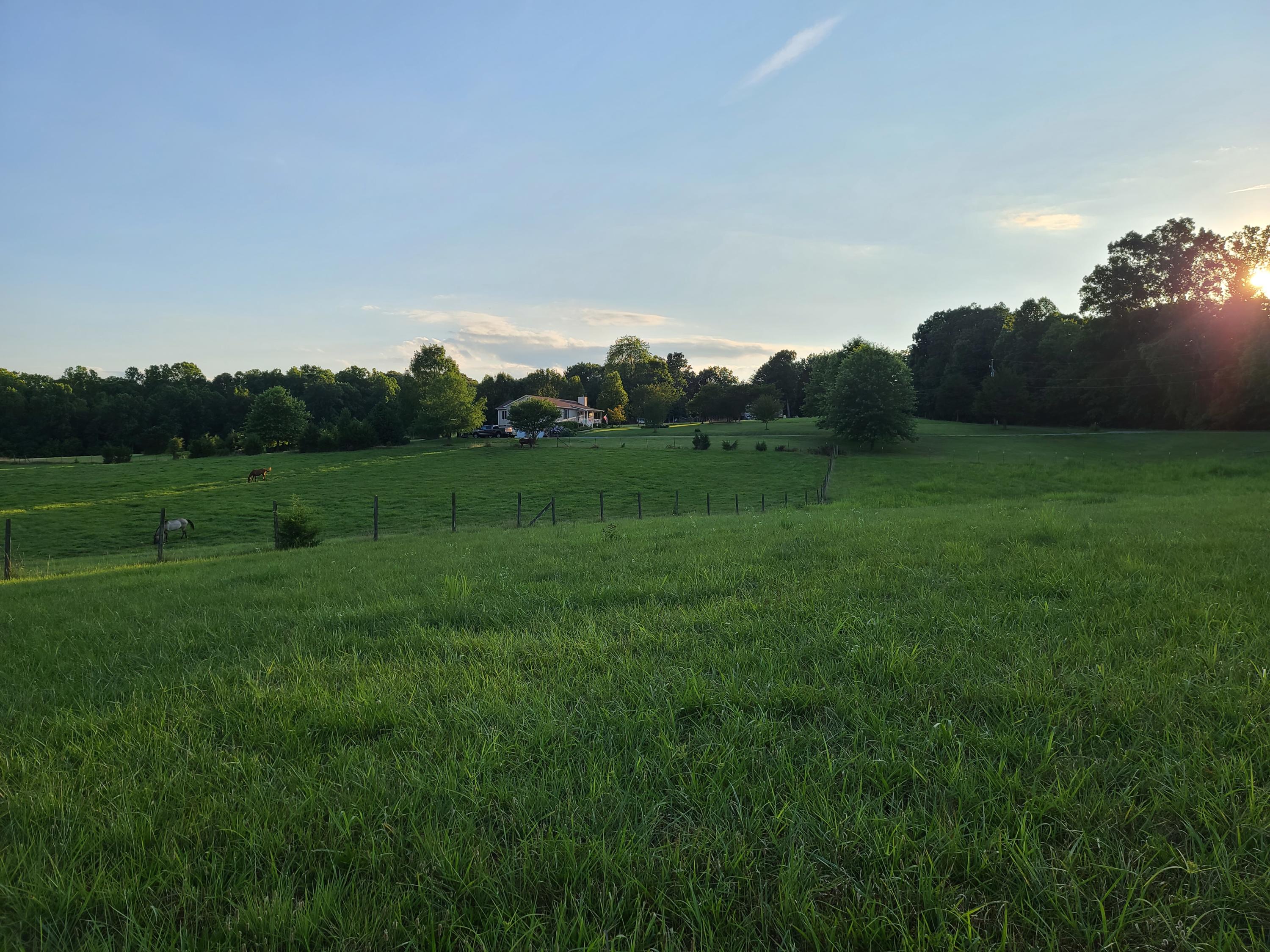 684 Northridge Road Hardy, VA 24101 - Photo 60 of 75 a view of an outdoor space and a yard