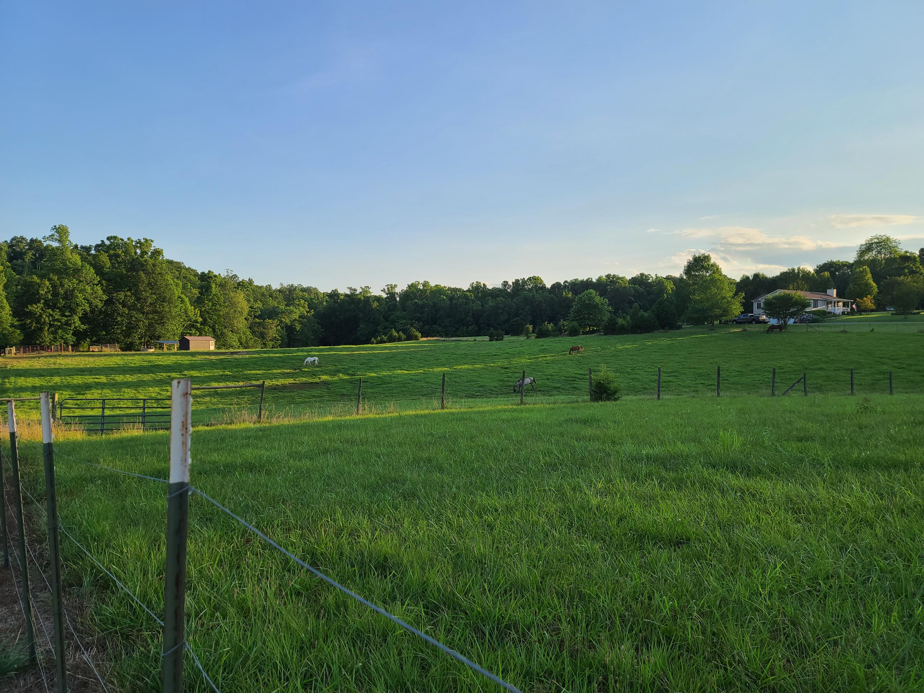 684 Northridge Road Hardy, VA 24101 - Photo 61 of 75 a view of a grassy field