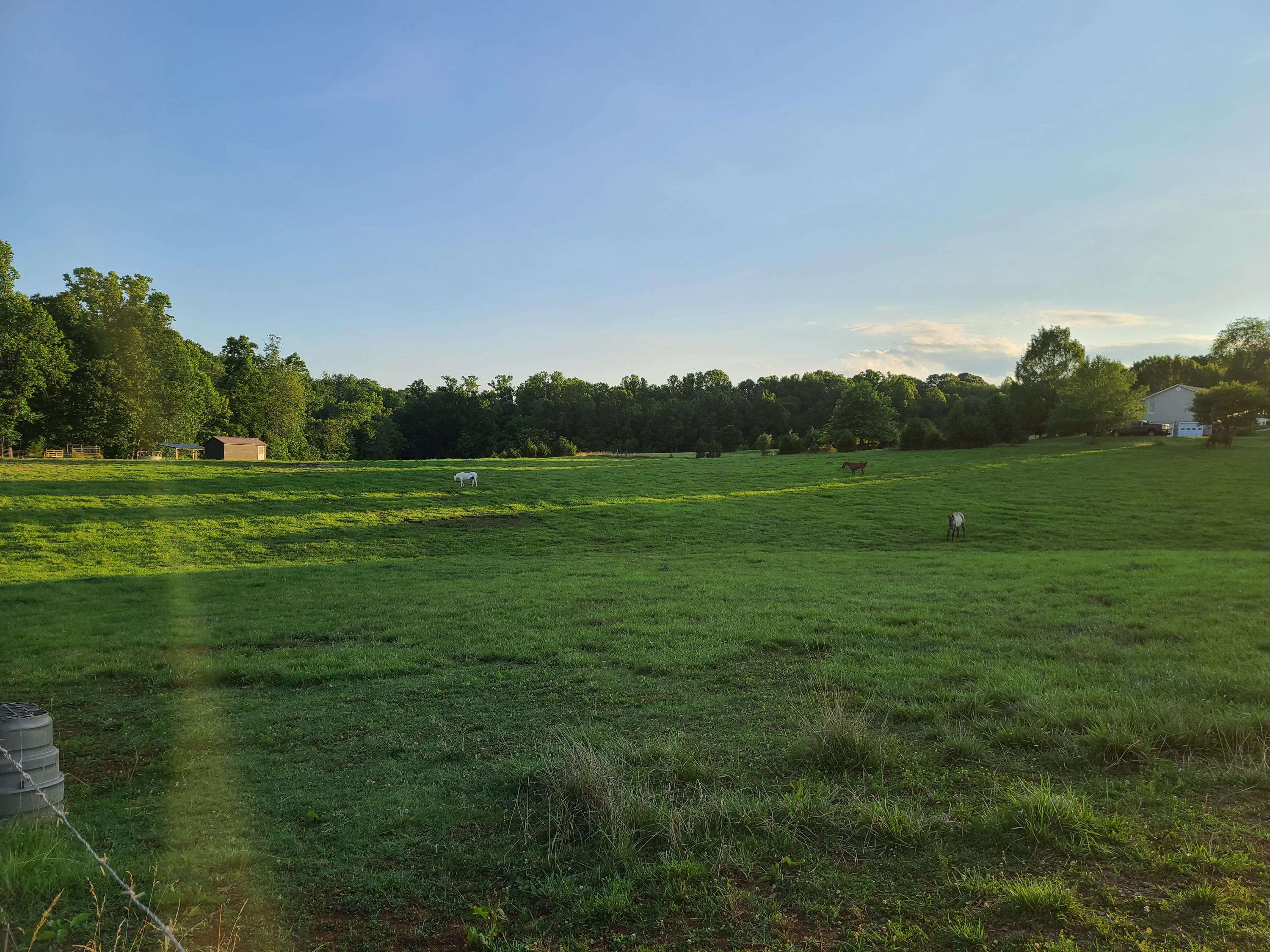 684 Northridge Road Hardy, VA 24101 - Photo 63 of 75 20200702_194704