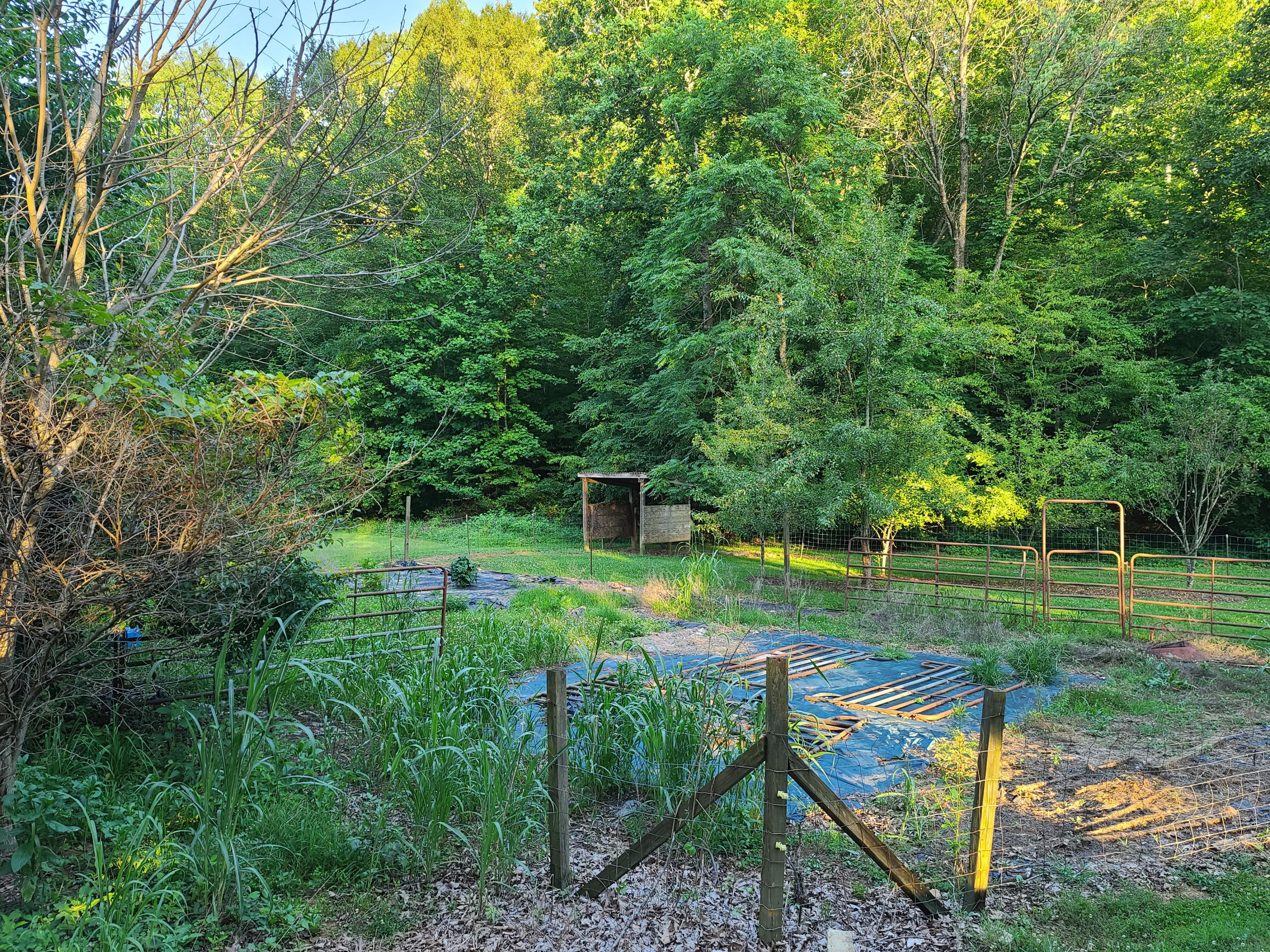 684 Northridge Road Hardy, VA 24101 - Photo 64 of 75 20200702_194819