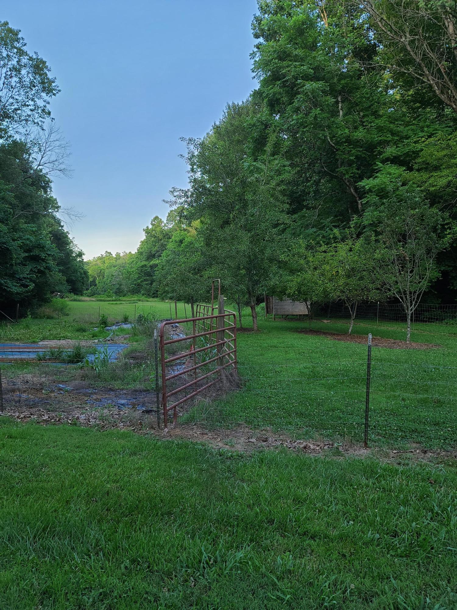 684 Northridge Road Hardy, VA 24101 - Photo 74 of 75 a view of a park with large trees