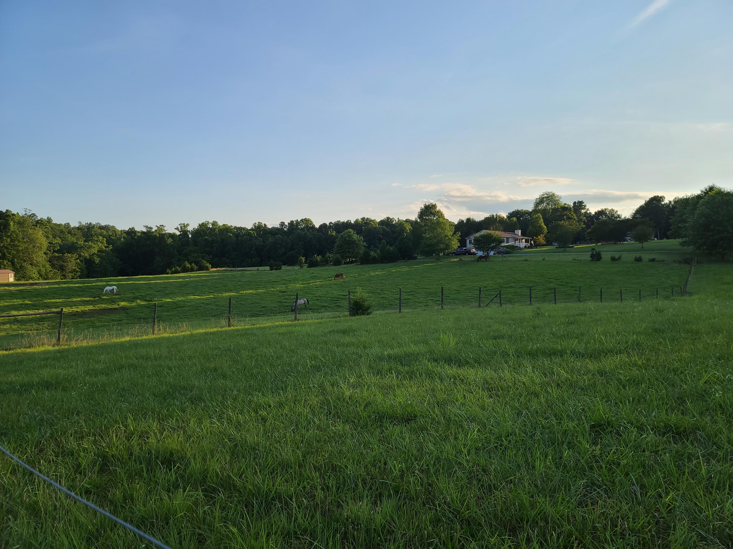 684 Northridge Road Hardy, VA 24101 - Photo 75 of 75 a view of a grassy field with trees