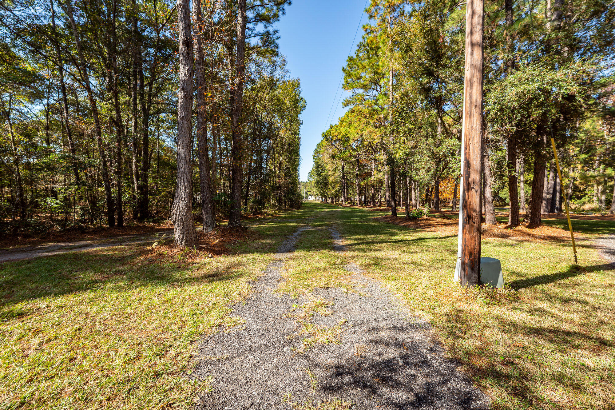 5950 Lowell Reed Road Ravenel, SC 29470 - Photo 105 of 120 102