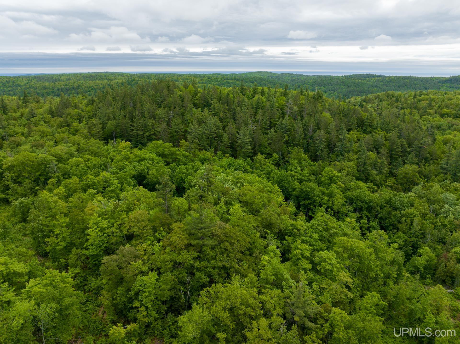 Tbd Tbd Co Road Negaunee, MI 49866 - Photo 7 of 47