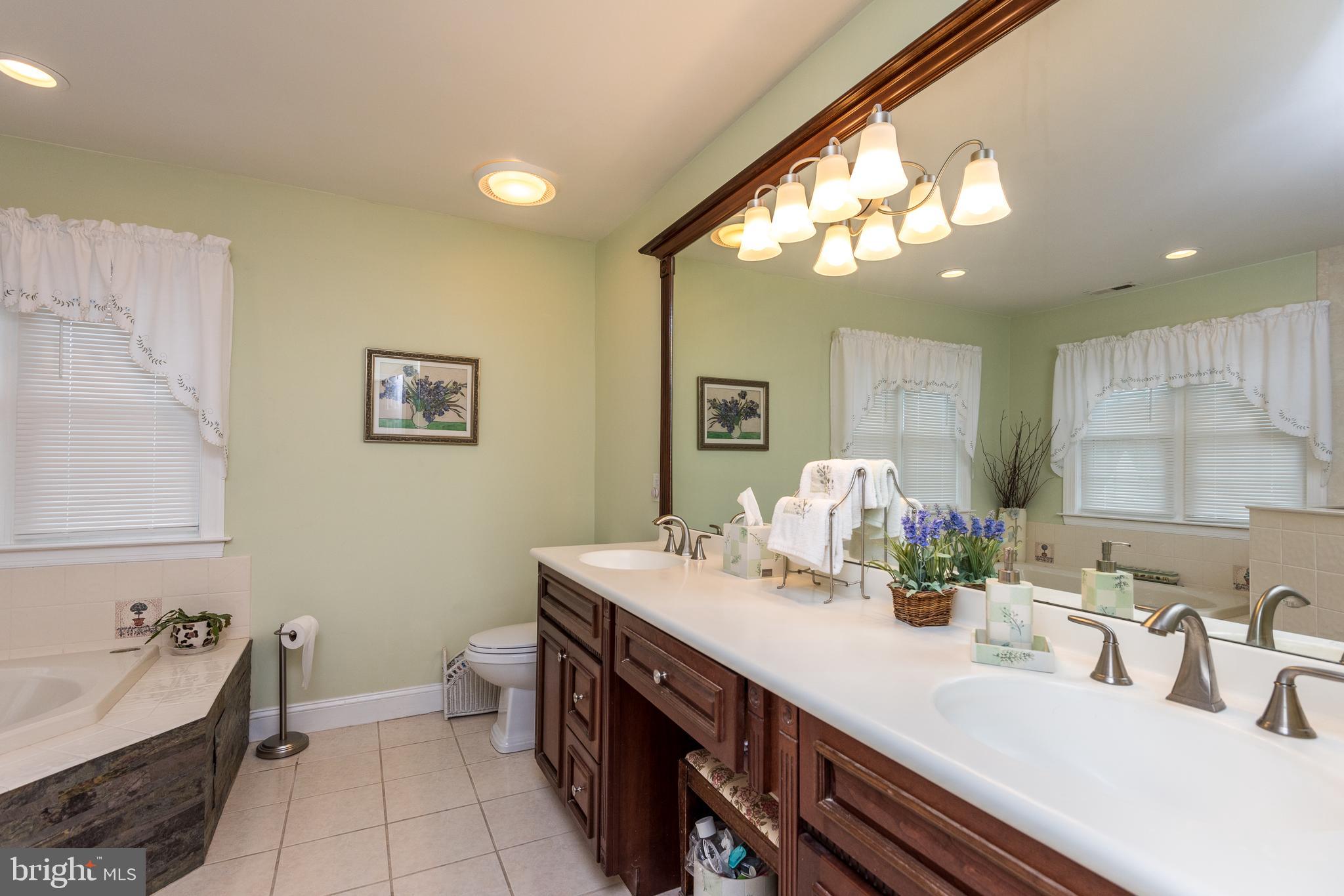 3929 Lower Mountain Road New Hope, PA 18938 - Photo 54 of 78 Recently Renovated Master Bathroom