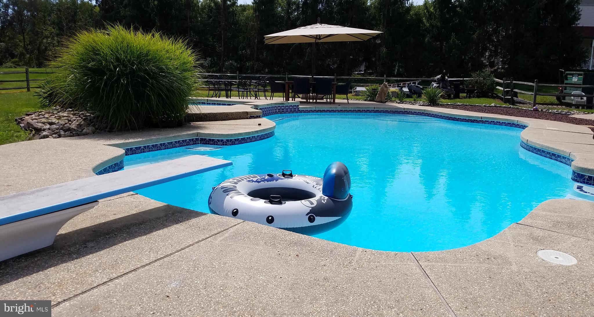 3929 Lower Mountain Road New Hope, PA 18938 - Photo 75 of 78 Inground Pool & Sauna
