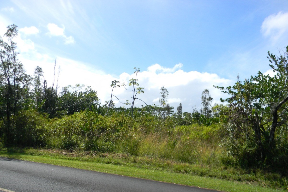 3111 Beach Road Keaau, HI 96749 - Photo 1 of 7 Gallery Image 1