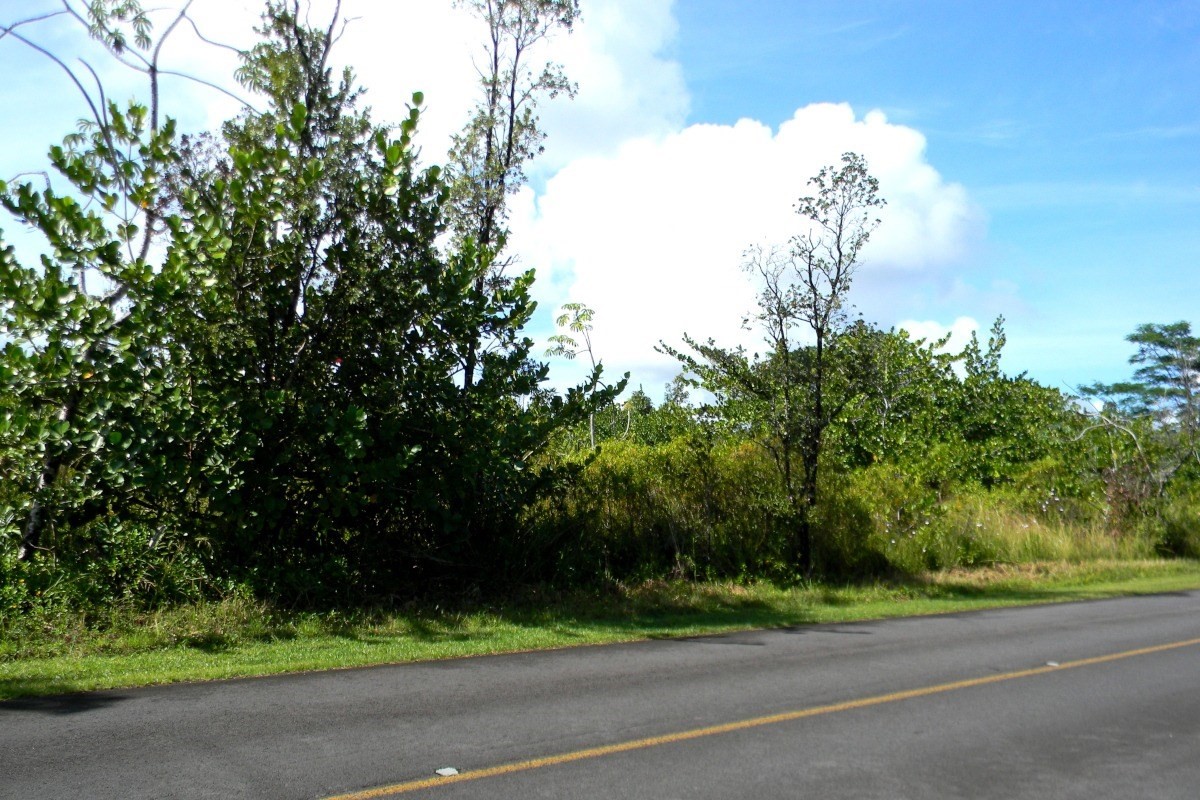 3111 Beach Road Keaau, HI 96749 - Photo 2 of 7 Gallery Image 2