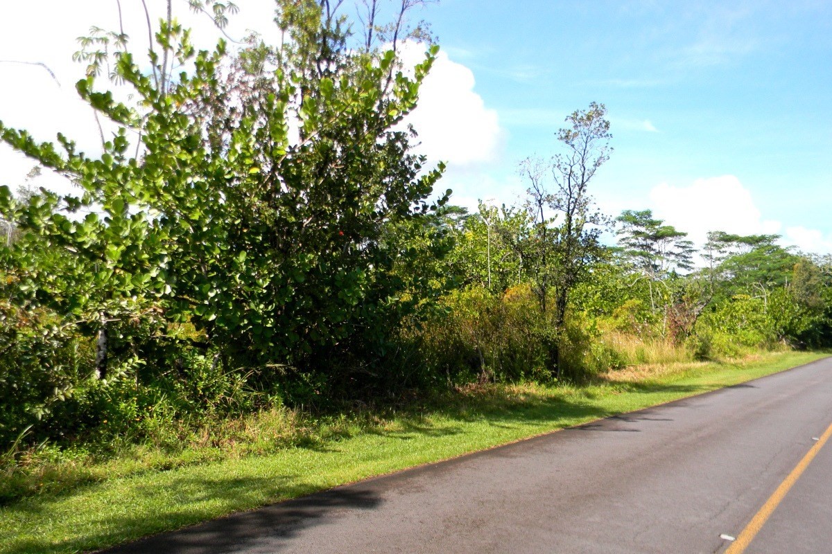 3111 Beach Road Keaau, HI 96749 - Photo 3 of 7 Gallery Image 3