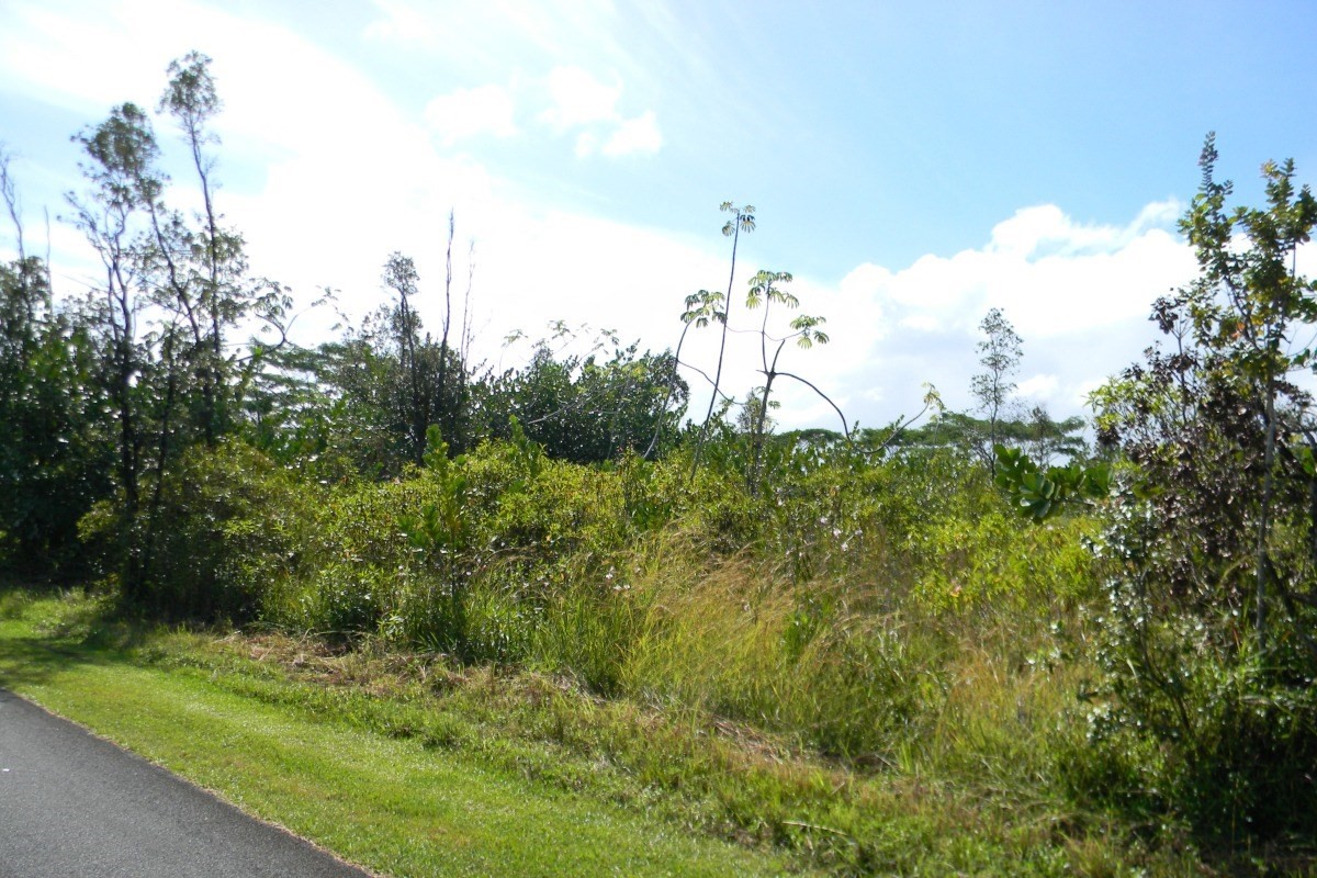 3111 Beach Road Keaau, HI 96749 - Photo 5 of 7 Gallery Image 5