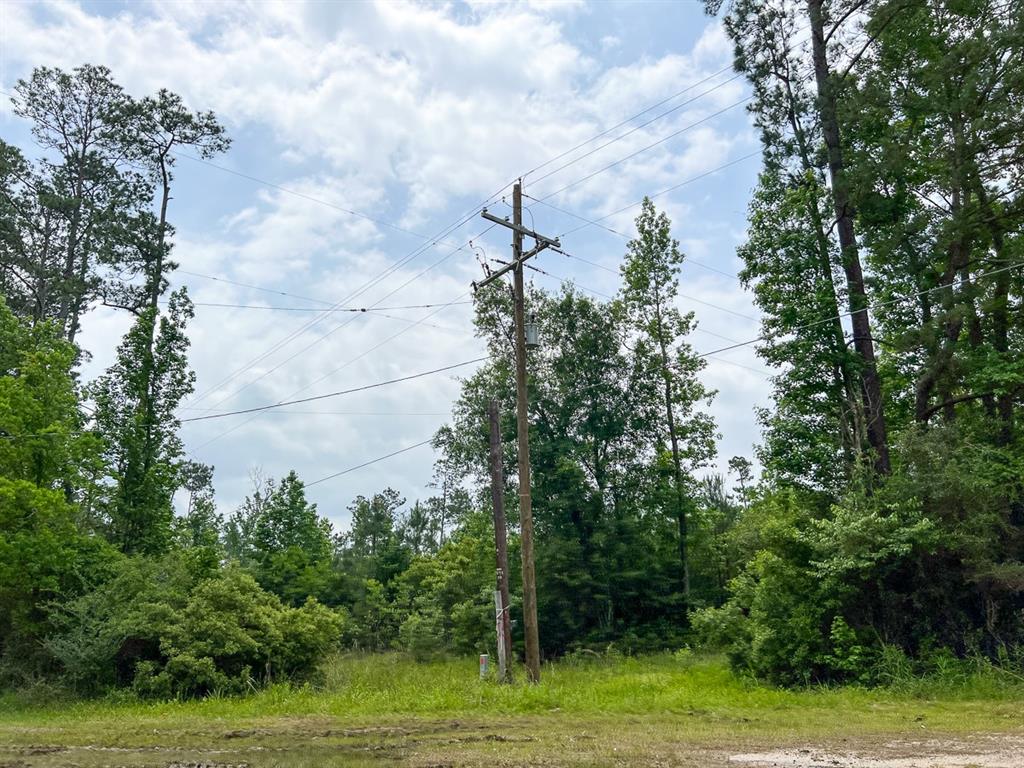 0 Fm 2937/old Arco Road Silsbee, TX 77656 - Photo 4 of 5