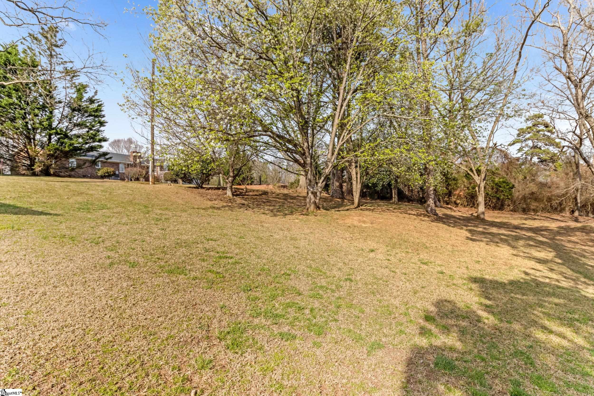 2396 Abner Creek Road Duncan, SC 29651 - Photo 42 of 50