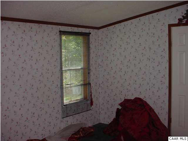 8085 Porters Road Esmont, VA 22937 - Photo 6 of 10 Master Bedroom