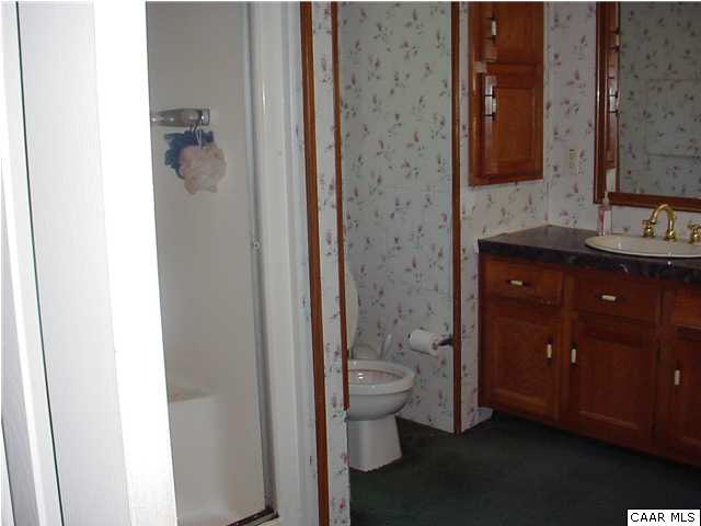 8085 Porters Road Esmont, VA 22937 - Photo 7 of 10 Master Bath