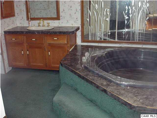 8085 Porters Road Esmont, VA 22937 - Photo 8 of 10 Master Bath