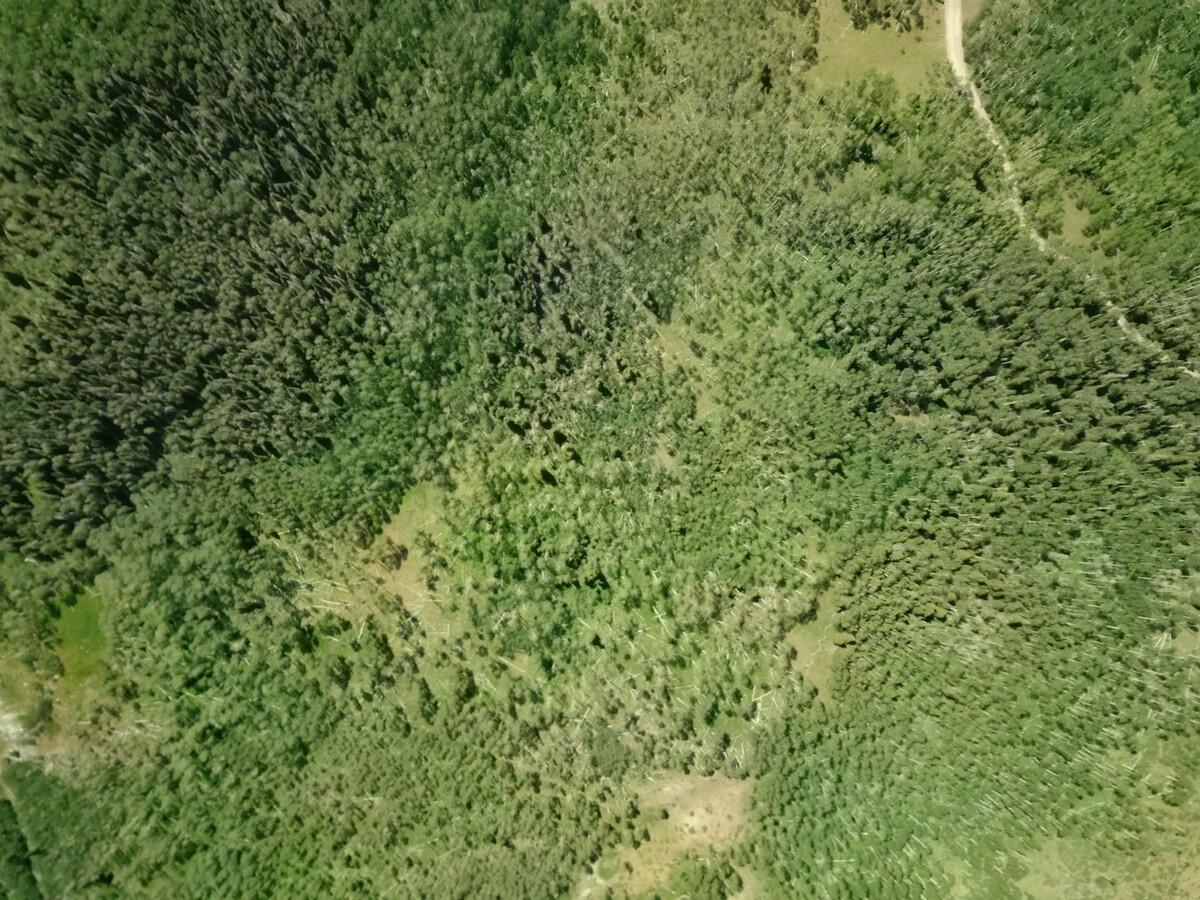 40 Acres Summit Mountain Road Brian Head, UT 84719 - Photo 30 of 32 Aerial8