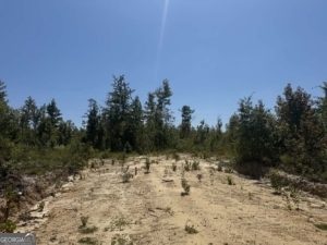0 Stone Church Road East Dublin, GA 31027 - Photo 2 of 6 a view of a snow with a yard