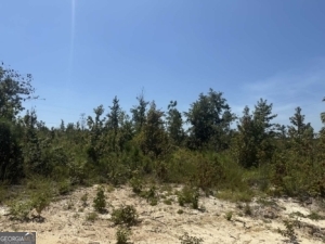 0 Stone Church Road East Dublin, GA 31027 - Photo 3 of 6 a view of a yard with a tree