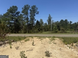 0 Stone Church Road East Dublin, GA 31027 - Photo 4 of 6 a view of a backyard with trees