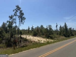 0 Stone Church Road East Dublin, GA 31027 - Photo 6 of 6 a view of a street with a building in the background