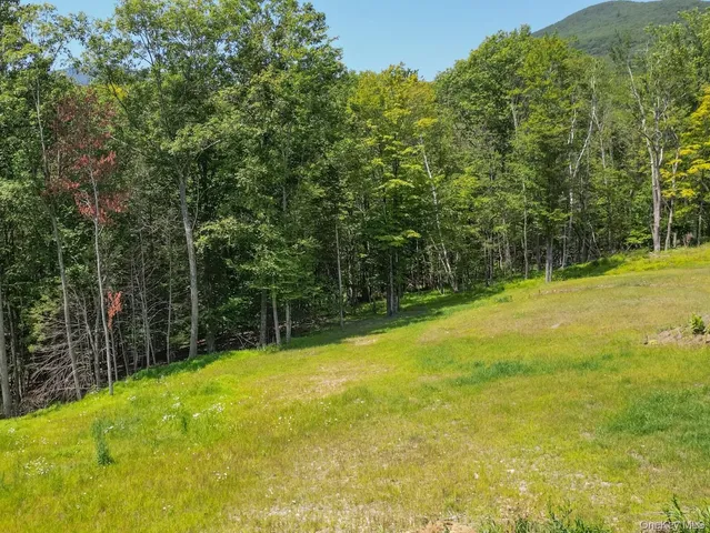 a view of a yard with swimming pool