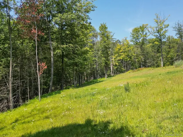a view of a yard with a trees