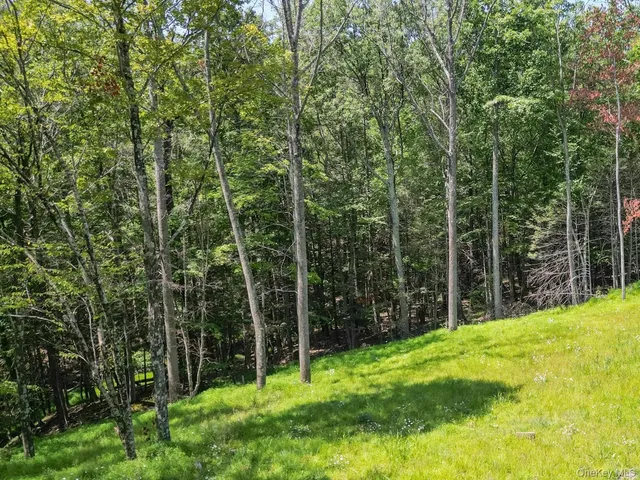 a view of a field with a trees in the background