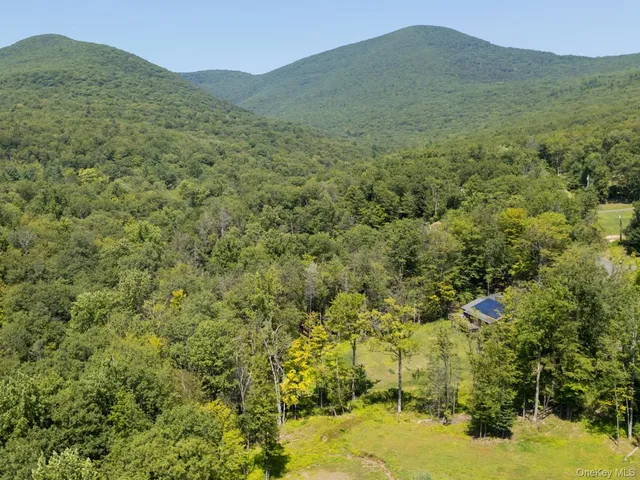 a view of a lush green hillside and a houses
