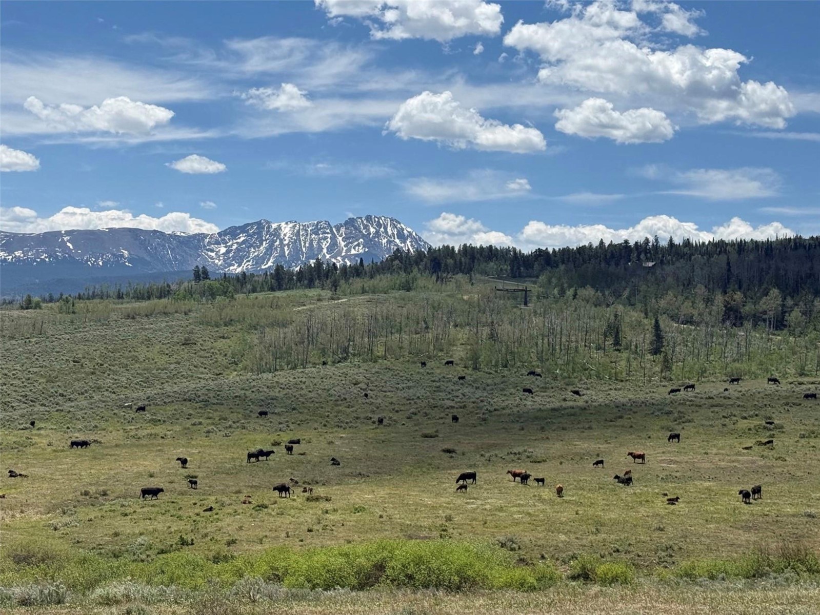 Tbd Spring Creek Ranch Road Silverthorne, CO 80498 - Photo 26 of 48