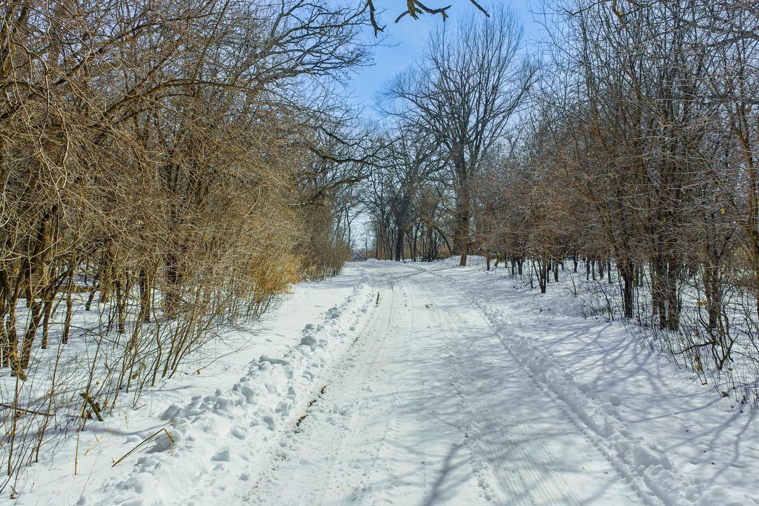 N1640 County Road U Markesan, WI 53946 - Photo 40 of 53