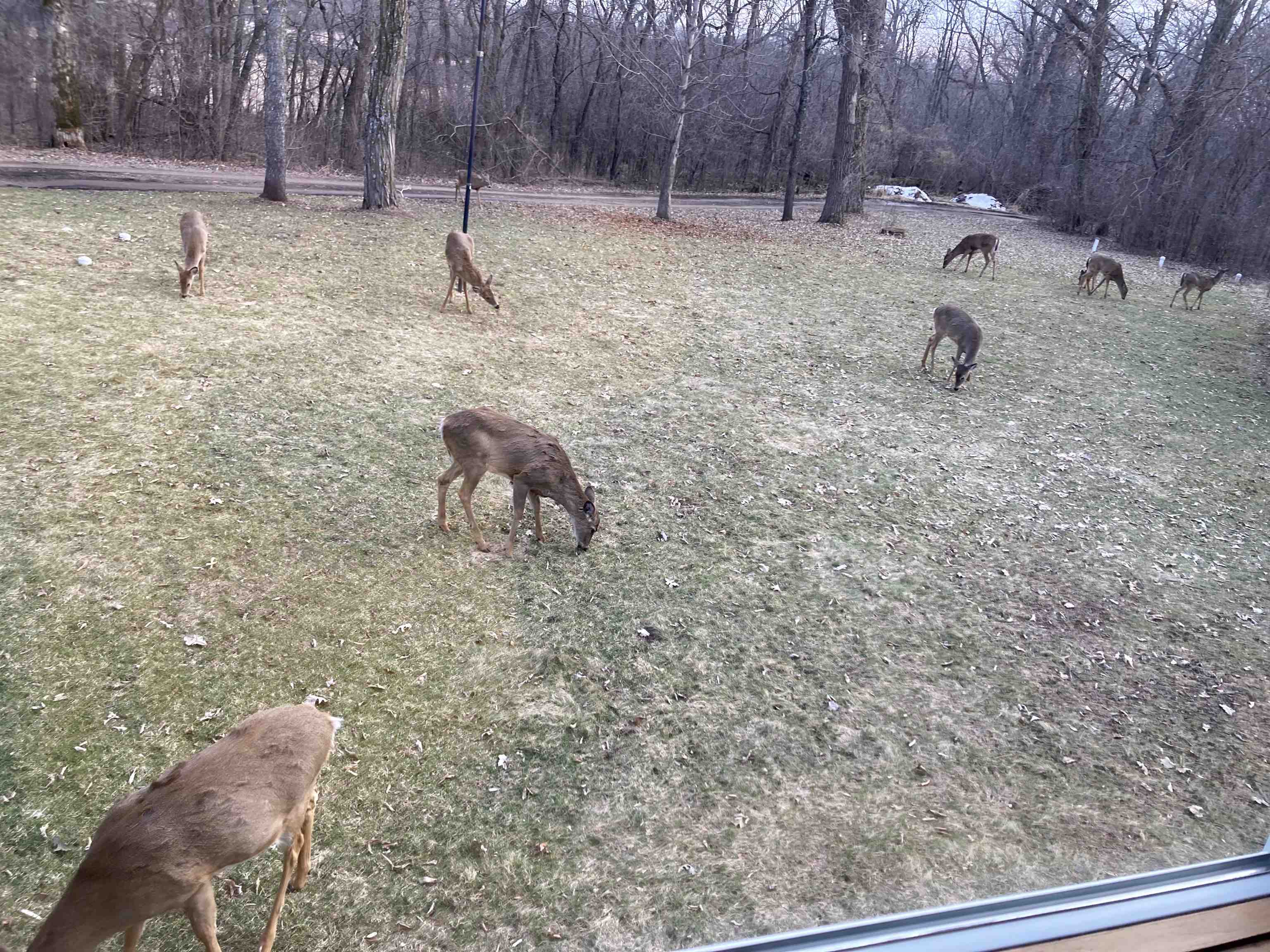 N1640 County Road U Markesan, WI 53946 - Photo 51 of 53