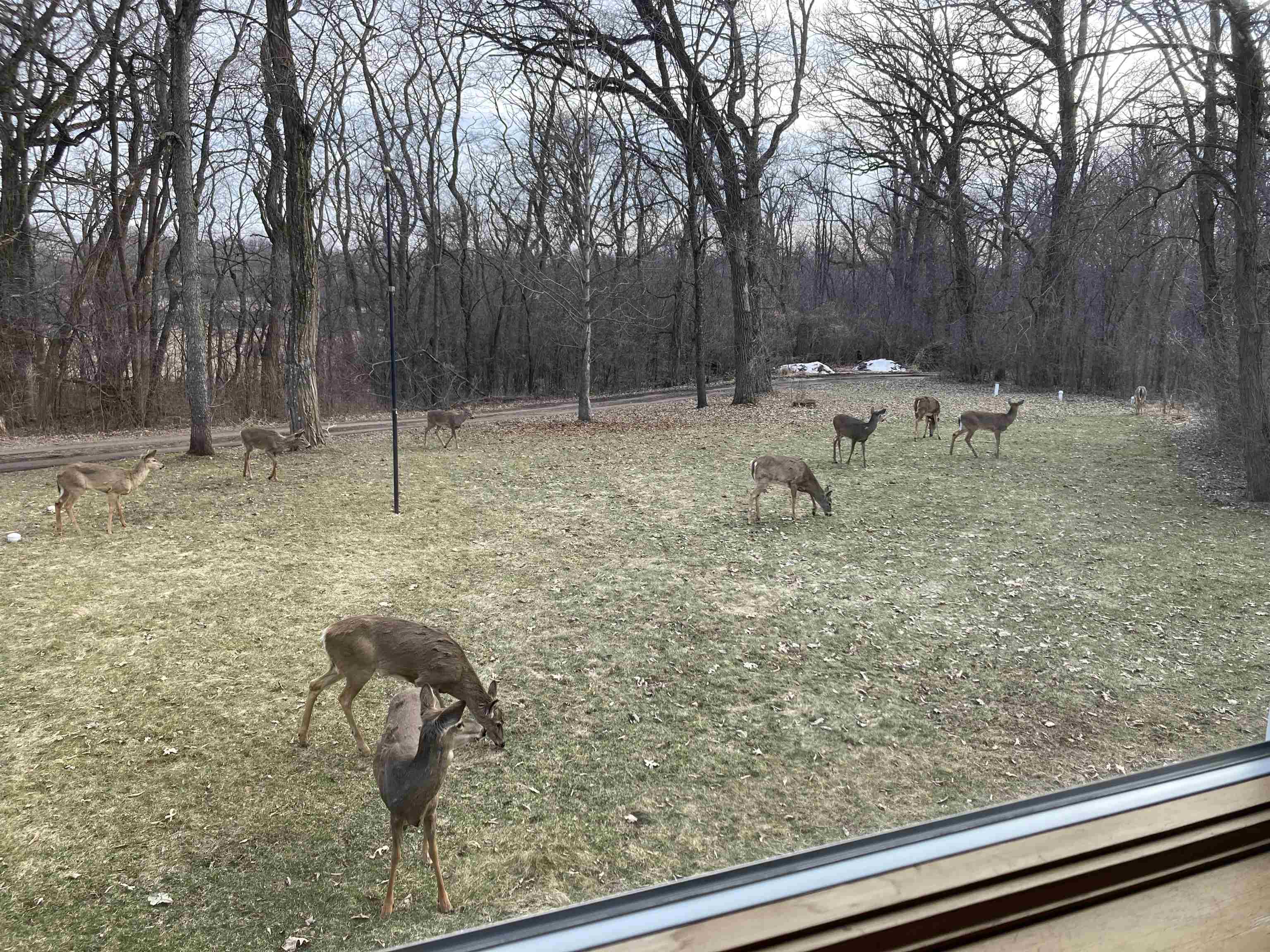 N1640 County Road U Markesan, WI 53946 - Photo 52 of 53