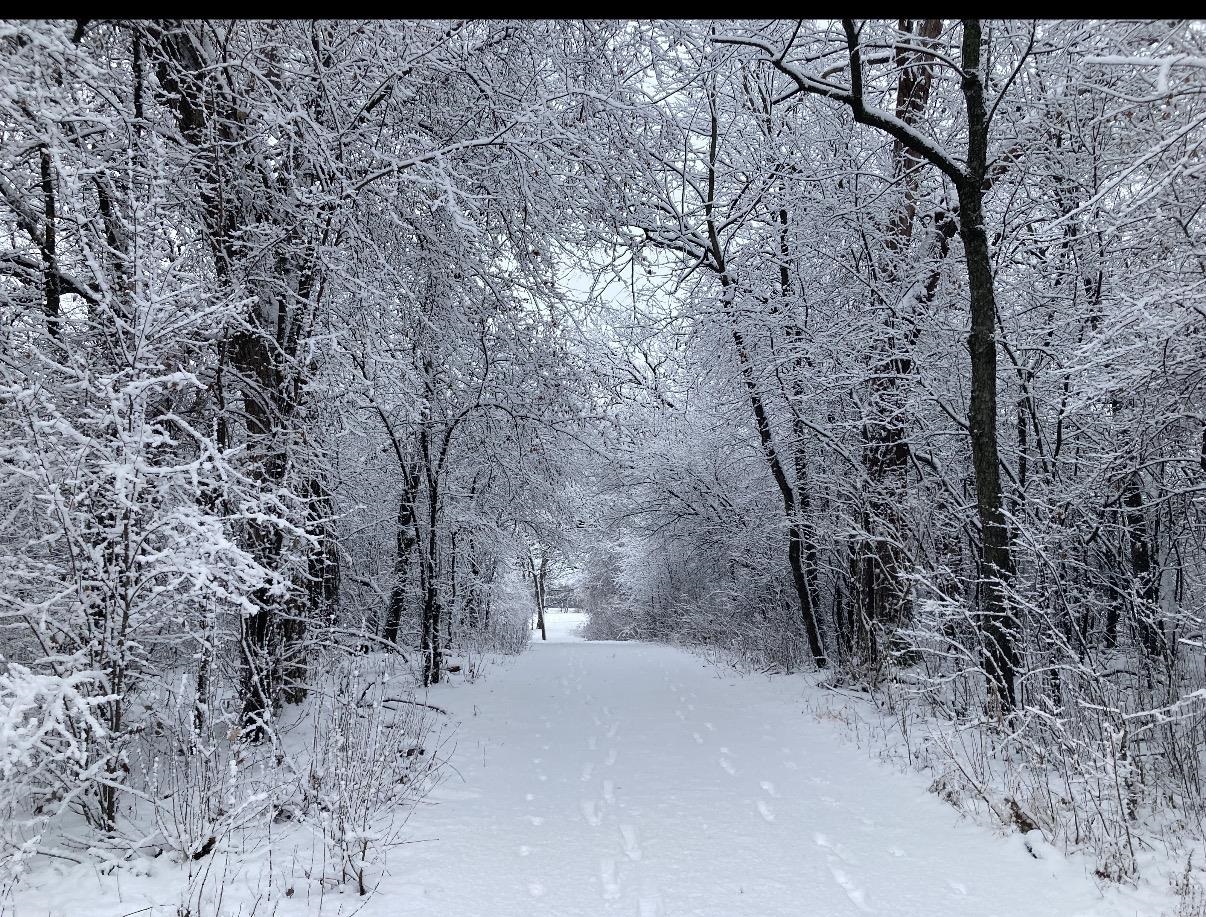 N1640 County Road U Markesan, WI 53946 - Photo 53 of 53