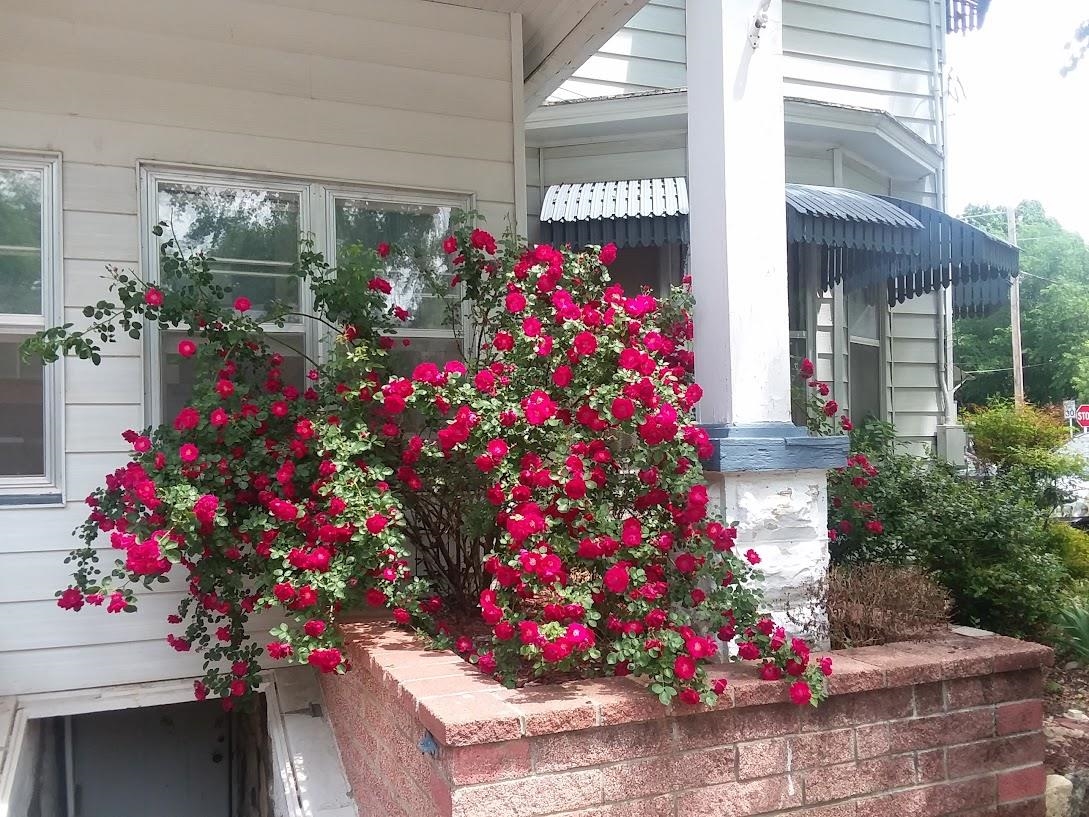 601 West 9th Avenue Winfield, KS 67156 - Photo 2 of 21