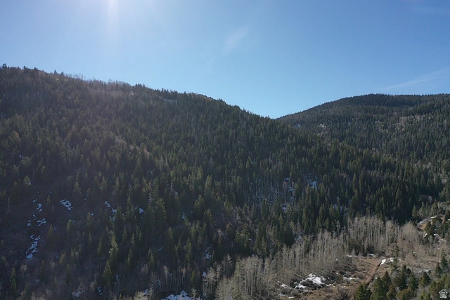 Undisclosed Address Summit, UT 84772 - Photo 2 of 19 View of mountain backdrop featuring a heavily wooded area