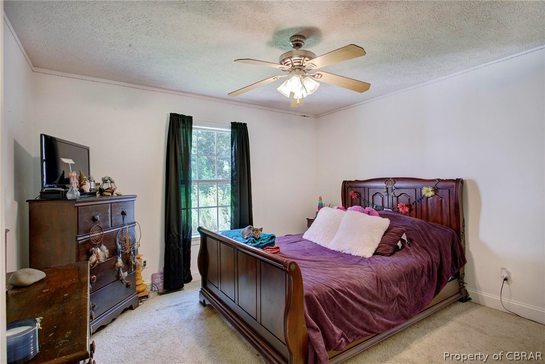 1282 McKans Road Laneview, VA 22504 - Photo 19 of 37 Gallery Image 19