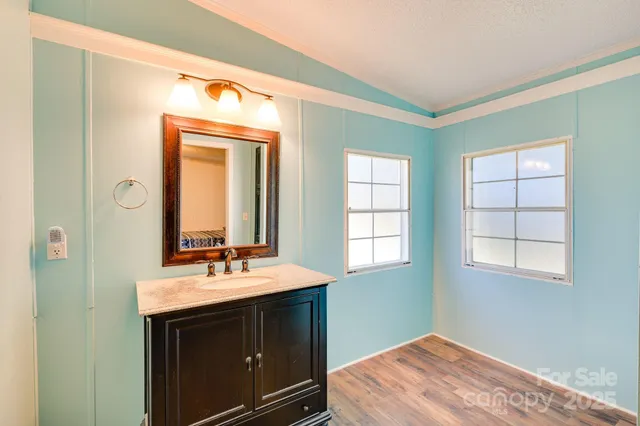 a bathroom with a sink vanity and a mirror