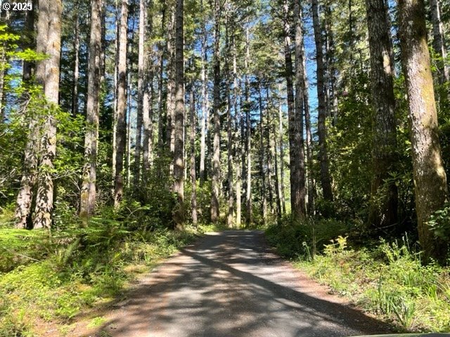 56129 Tom Smith Road Bandon, OR 97411 - Photo 17 of 27 a pathway of a yard