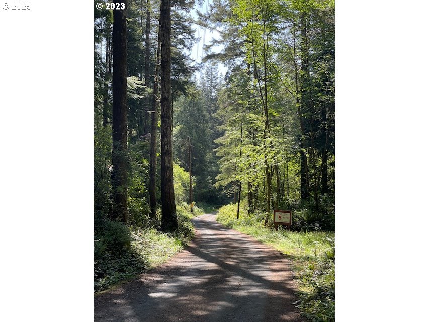 56129 Tom Smith Road Bandon, OR 97411 - Photo 18 of 27 a view of a yard with plants and trees