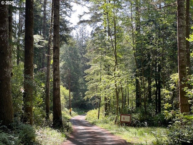 56129 Tom Smith Road Bandon, OR 97411 - Photo 10 of 27 a view of a forest filled with trees